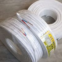 Flaches PVC-isoliertes Kupferkabel BVVB Feuerfestes Innen- und Wohngebäude-Verkabelungskabel CE-Zertifiziert
