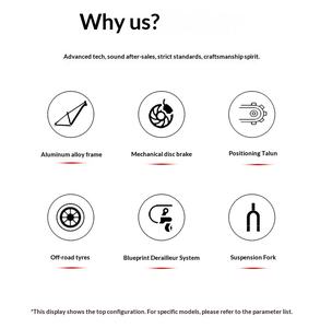 Bicicleta de Carreras HG-A33 GRAY Breaking <span class=keywords><strong>Wind</strong></span> <span class=keywords><strong>Dead</strong></span> Flying, Super Rápida, Ligera, de Aleación de Aluminio, con Suspensión Profesional de Resorte - Product Image 6