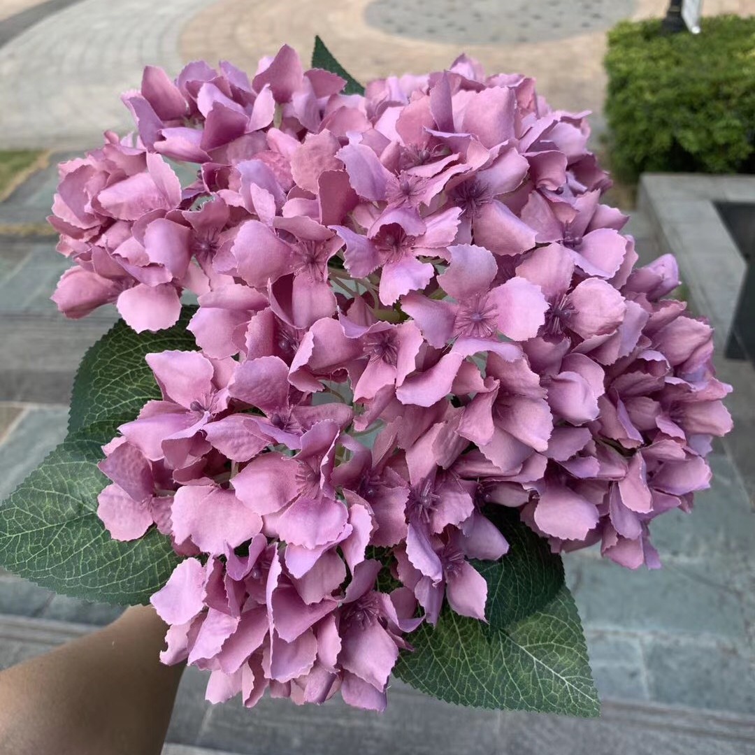 Pâte de haricots hortensia pagode à 5 têtes