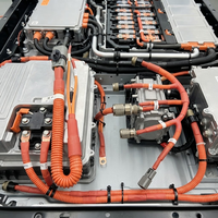 Harnais de câblage haute tension personnalisé pour VE, blindé, avec câble de chauffage PTC pour PDU BMS, en PVC, indice de protection IP67, ignifuge UL94 V-0 pour