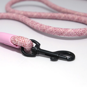 गर्म बिक्री नायलॉन सुरक्षा वॉक रस्सी कुत्ता प्रशिक्षण पट्टा समायोज्य टिकाऊ पालतू कुत्ता पट्टा - Product Image 6