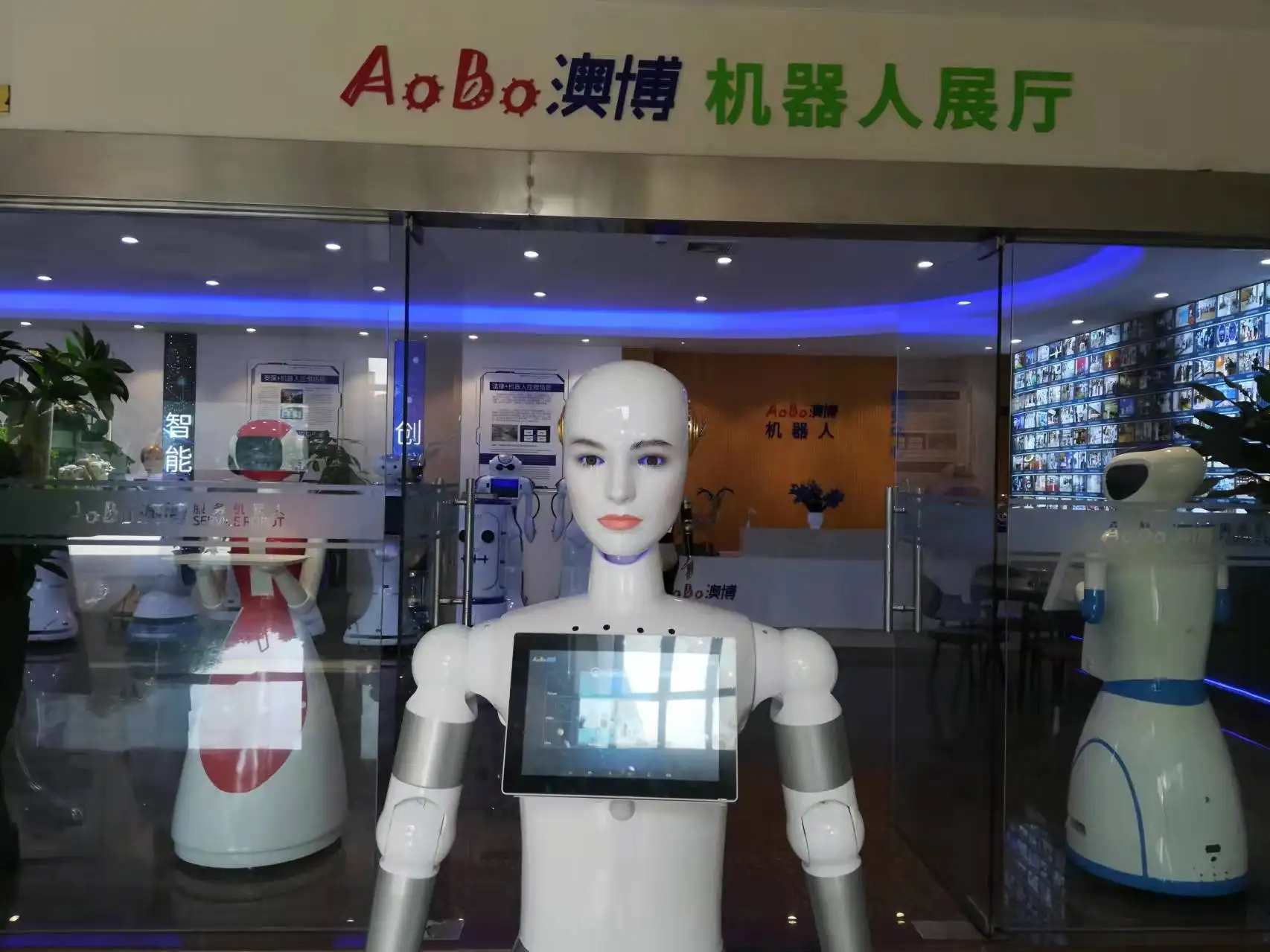 humanoid female robots can be used in university  shopping mall  school  exhibition hall  museum.