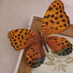 Butterfly Grosgrain <b>Ribbon</b> Hairpin Unisex Children's Cute Princess Hair Headwear Wholesale Bangs Clip Side Clip - Product Image 3