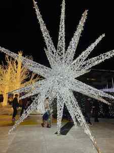 Customizable Ip65 3d Led Iron Frame <b>Star</b> <b>Light</b> Outdoor Waterproof With Easy Installation For Mall Park Christmas Decor - Product Image 1