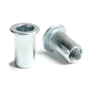 Customizable Zinc-Plated M12 Vertical Thread Screw Cap Through-Hole Cylindrical Nut Pull Rivet Flat Head Post Plastic Screws