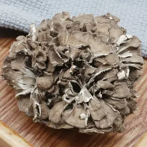 Productos Naturales a Base de Hongos, Hongos <span class=keywords><strong>Matsutake</strong></span> Secos, Hongos Ashitake Orgánicos - Product Image 2