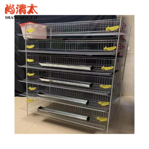 Commercio all'ingrosso nuovo stato H-tipo gabbie di quaglia uso domestico uccello di produzione di uova di materiale plastico <span class=keywords><strong>per</strong></span> gabbie <span class=keywords><strong>per</strong></span> animali da allevamento di polli - Product Image 6