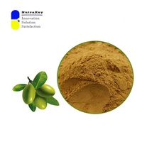 Poudre d'extrait de feuille d'olivier naturel 12% Supplément de soutien antioxydant et immunitaire de l'oleuropéine | Fournisseur en vrac