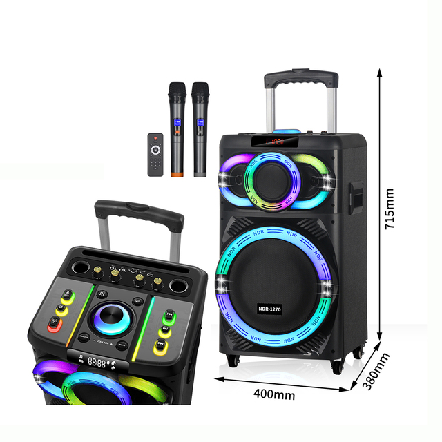 NDR-1270 OEM Professional 12-Inch Outdoor Stereo Woofer Active HIFI Karaoke BT Speaker Mic Wooden Wireless Party Trolley Speaker
