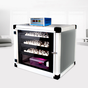 Opportunités de distribution, taux d'éclosion élevés, incubateur avicole automatique industriel, prix de la machine à poulets au Koweït - Product Image 5