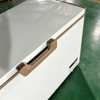 Congélateur vertical commercial à une porte, prix d'usine, refroidissement direct, écologique, économe en énergie, grande capacité pour usage domestique