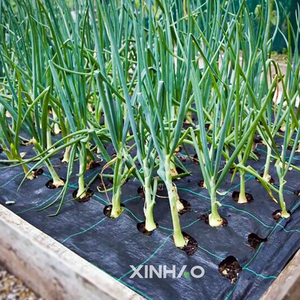 Bán hàng nóng PP dệt Weed mat với lỗ che phủ mặt đất vải cỏ dại màng vườn che phủ mặt đất mulch Weed dừng tấm 1m 2m - Product Image 3