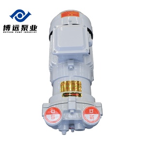 Pompe à vide à anneau liquide/eau horizontale BOYUAN 2BV2071, moteur triphasé, contrôle semi/entièrement automatique, 1,83 m/min - Product Image 4