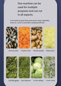เครื่องแปรรูปอาหารสัตว์จากโรงงานขายตรง ตัดผักสด (ฟักทอง มันเทศ) เป็นอาหารสัตว์ที่มีคุณค่าทางโภชนาการ - Product Image 4