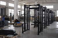Máquina de Entrenamiento Funcional de Alta Calidad / Máquina de Poleas para Uso Comercial y Doméstico