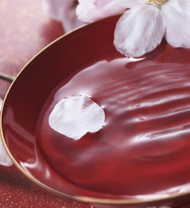 Alta calidad 720ml OEM Plum Wine <span class=keywords><strong>Sake</strong></span> Género para <span class=keywords><strong>Sushi</strong></span> - Product Image 5