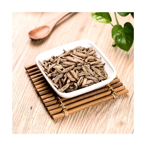 Larva <span class=keywords><strong>de</strong></span> mosca <span class=keywords><strong>de</strong></span> soldado negro, alimento rico en proteína ecológica, insectos frescos, gran oferta - Product Image 1