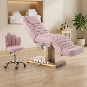 Professional Electric Beauty Bed for Facial Care Massage Therapy and Spa Services - Product Image 1