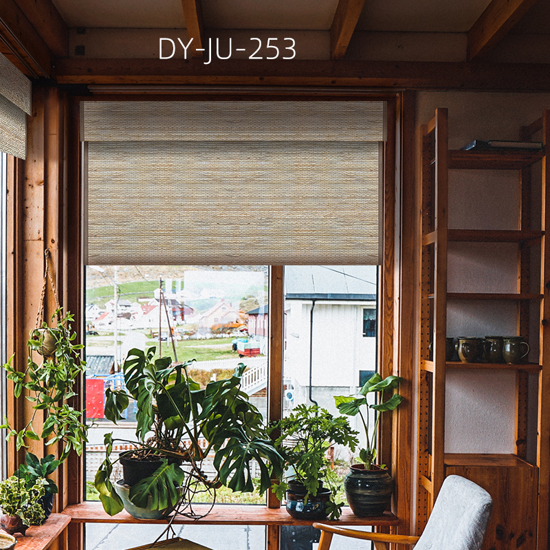 DY-JU-253
