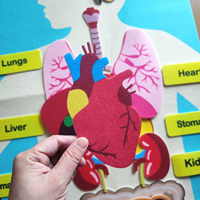 Tableau de cognition de la structure des organes humains pour enfants, en tissu, pour l'éducation précoce, sur le thème des sciences, avec velcro, en anglais
