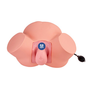 Modèle d'enseignement avancé en sage-femme, modèle de démonstration de naissance, modèle d'examen gynécologique, modèle de démonstration du travail et de l'accouchement - Product Image 1