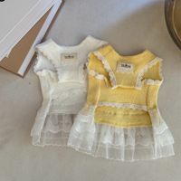 Robe en dentelle sans manches de couleur unie pour chiots Sweet Princess, pour chiens de petite et moyenne taille