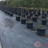 Toile de paillage agrotextile en PP pour couverture du sol, produits plastiques agricoles