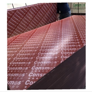 Tablero <span class=keywords><strong>Triplay</strong></span> Fenólico Film 18mm - Product Image 5