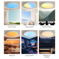 Panneau lumineux LED de plafond à spectre complet CCT moderne Panneau lumineux intelligent d'intérieur rond