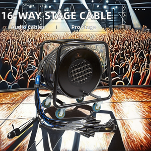 Câble audio multipaire professionnel ABCCABLS 16 canaux XLR, flexible, en cuivre sans oxygène 99,99%, gaine PVC, modèle TC16B Audio - Product Image 3