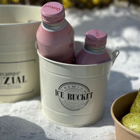 Seau à glace avec poignée, multicolore, petit, pour refroidir la bière et le vin, idéal pour les fêtes en plein air, les bars et la maison