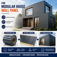 Bobine d'acier OEM PPGL et PPGI prélaquée, galvanisée avec surface PVDF pour la construction de panneaux muraux de maisons modulaires