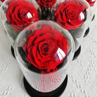 Echte Rose mit LED-Licht konservierten Rosen in Glas Ewige Blumen kuppel für Mädchen Frau Rot Valentinstag Geschenk Ainy Rose