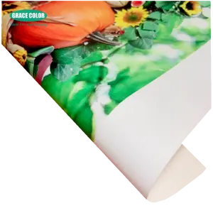 340gsm (10oz) 200D*300D 18*12 kraft paper advertising banner