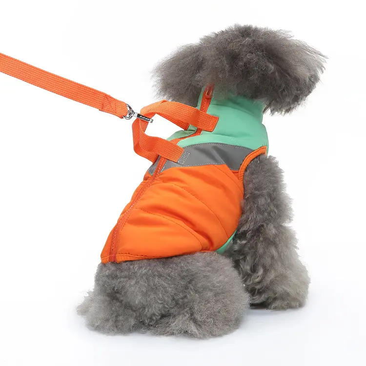Sıcak yavru kıyafet köpek kedi kış yelek giysi için köpek rüzgar geçirmez kış Pet köpek giyim ceket yastıklı lüks Doggy giysileri