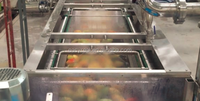 Automatische Mango Sap Processor Mango Pulp Produceren Machines Plant Verwerking Lijn Met Layout