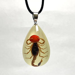 Kalung liontin kalajengking dalam gelap pria, Kalung liontin kuning serangga asli bandul Resin - Product Image 5