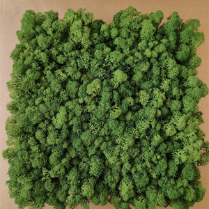 Großhandel Moos Wand kunst Sphagnum Preserved Moss Wand paneel Green Moss für Home Daily Decoration - Product Image 4