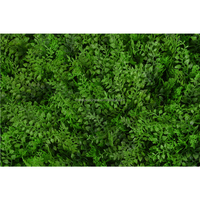 Mur végétal en plastique écologique durable de qualité supérieure avec texture de feuilles naturelles