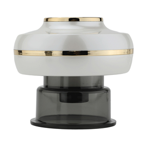 Alat Terapi <span class=keywords><strong>Cupping</strong></span> Elektrik, Mesin <span class=keywords><strong>Cupping</strong></span> Pemanas Cerdas, Pemijat Guasha Tubuh Isi Ulang Grosir - Product Image 5