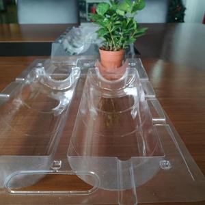 Kotak Tanam Plastik PET PVC Model Clamshell untuk 2 Tanaman, Baki Bibit Blister untuk Kebun Rumah - Product Image 6