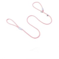 Laisse anti-éclatement et antichoc pour chien, laisse en nylon en forme de P avec sangles réfléchissantes, accessoire de promenade pour animaux de compagnie, directement de l'usine