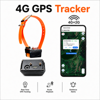 Traceur GPS étanche 4G+2G en ABS avec géofencing pour chiens de chasse : Traceur GPS intelligent pour animaux de compagnie (vente en gros)