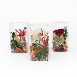 Vraies fleurs en résine époxy artisanat jardin paysage presse-papiers Table bureau décoration nouveauté cadeau Saint Valentin Festival <span class=keywords><strong>ami</strong></span> - Product Image 1