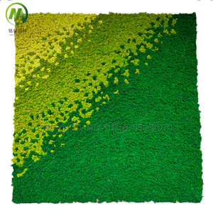 Artificial <strong>Moss</strong> Wall Panel Decorative <strong>Moss</strong> Backdrop Lifelike Preserved <strong>Moss</strong> High Simulation Green Plant Wall for Indoor Decor - Product Image 2
