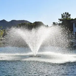 Китайский завод Поставка сад озеро Пруд бассейн из нержавеющей стали плавающий фонтан воды