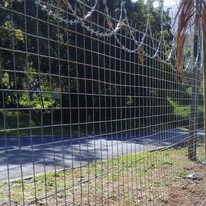 <span class=keywords><strong>Malla</strong></span> <span class=keywords><strong>Electrosoldada</strong></span> Curvada <span class=keywords><strong>Malla</strong></span> de alambre soldada galvanizada por inmersión en caliente - Product Image 6