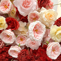 NINI Komplett Rote Schmetterlings-Blumenwand-Dekoration 3D-Blumen-Hintergrundpaneel für Hochzeiten, Partys, Events und Zeremonien Blumenarrangement-Zubehör