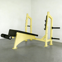 Équipement de fitness professionnel pour salle de sport, machines à charge libre en acier pour l'entraînement de force, presse pectorale et banc de musculation incliné