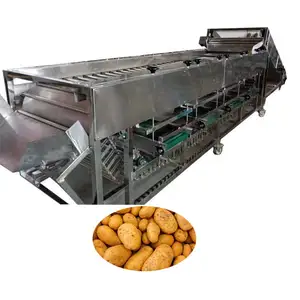 Factory Price Fruit Avocado Oranges Sorter Machine Dates Size Grading Potato Conveyor Belt Sorting Machine